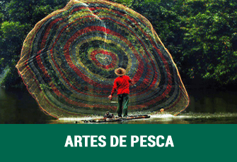 Elementos de Pesca